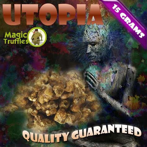 Obtain magic truffles online